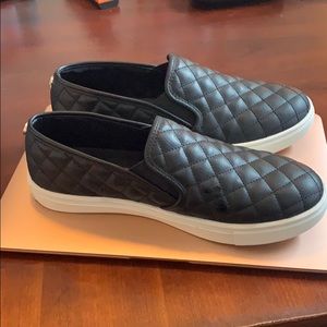 Steve Madden Sneakers